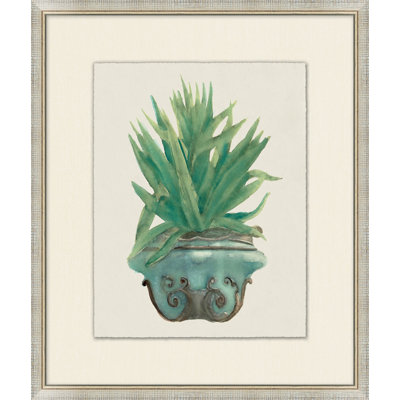 Aloe Pot 6 Print