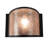 Thedosia Steel Flush Mounted Sconce