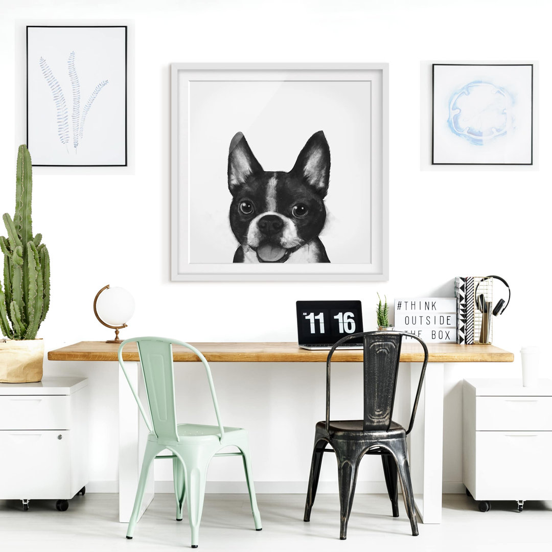 Gerahmtes Poster Illustration Hund Boston Schwarz Weiß