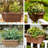 Classic Deck Rail Traditional Plastic Indoor/Outdoor Wide Oval Planter-1454360557-1359176166