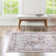 Nienke Oriental Indoor Rug