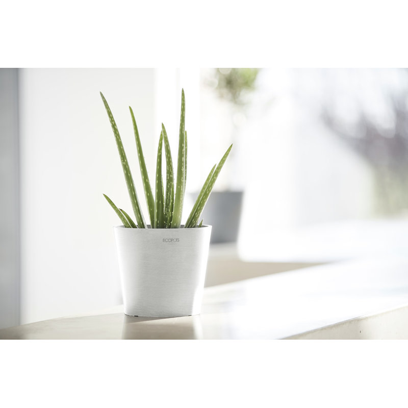 Modern Round Frost-Resistant Gray Recycled Plastic Planter