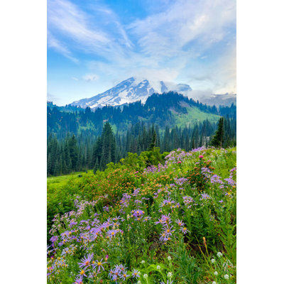 Fleurs d'été en fleurs - Photographie sur toile tendue