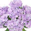 Tige de fleur d'hortensia artificielle-1635926246