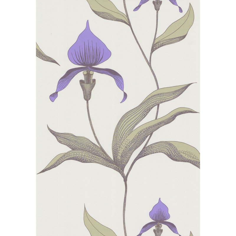 Orchid Floral Wallpaper Roll, Beige