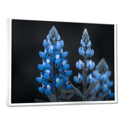 «Blue Bonnets Peaceful Summer Meadows» - impression d'art mural bleu