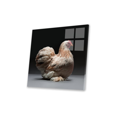 " Cochin Bantam " by CHICken