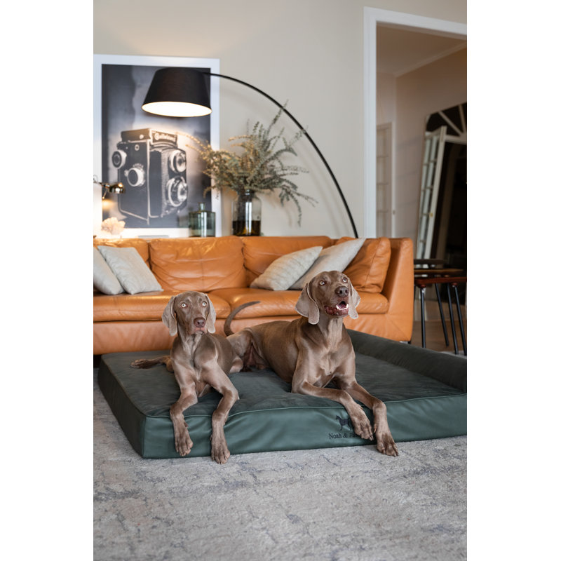  Lit orthopédique pour chien géant XXL, mousse viscoélastique infusée de gel rafraîchissant, imperméable, lavable à la machine, avec housse intérieure (similicuir)