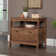 Pannell 32.28'' Wide 1 -Drawer File Cabinet