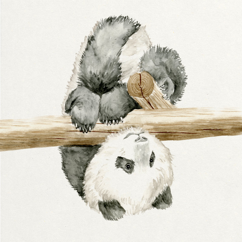 Baby Panda II by Melissa Wang - Wrapped Canvas Painting, 91cm H x 91cm W