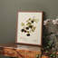 «Vintage Floral Print XLIV» sur papier-446485028-446485051