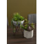 36cm Faux Succulent Plant in Stone Planter