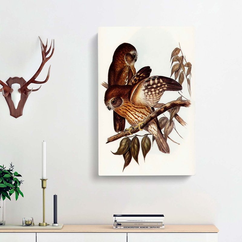 Boobook Owls by Elizabeth Gould - Wrapped Canvas, 50cm H x 35cm W x 3cm D