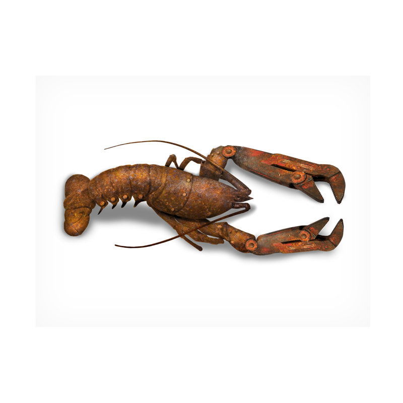 Art mural sur toile tendue - «Lobster armor» de John Hovenstine pour décoration de salon, de chambre à coucher ou de bureau - 24 x 32