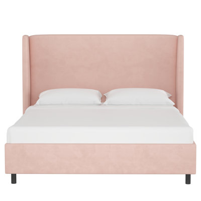 Tilly Upholstered Low Profile Platform Bed