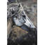 «Side of a Wild Horse», reproduction sur toile