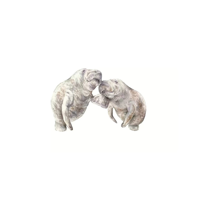Manatees by Wandering Laur - Wrapped Canvas Painting, 20.32 cm H x 30.48 cm W