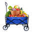 Chariot utilitaire pliable-49949773