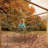 VEVOR Climbing Cargo Net Playground Climbing Cargo Net 14.8 x 10.5 ft Rainbow