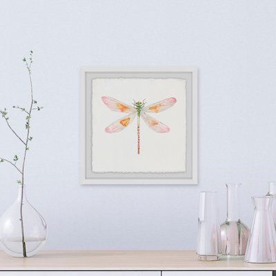 " Translucent Dragonfly "