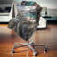 Coussin Mountain Mountain sous un ciel nuageux-551989466-551989471