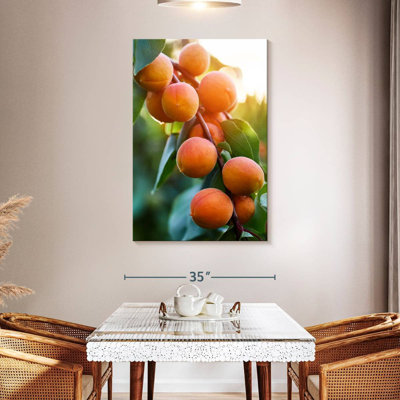 Abricots sur une branche