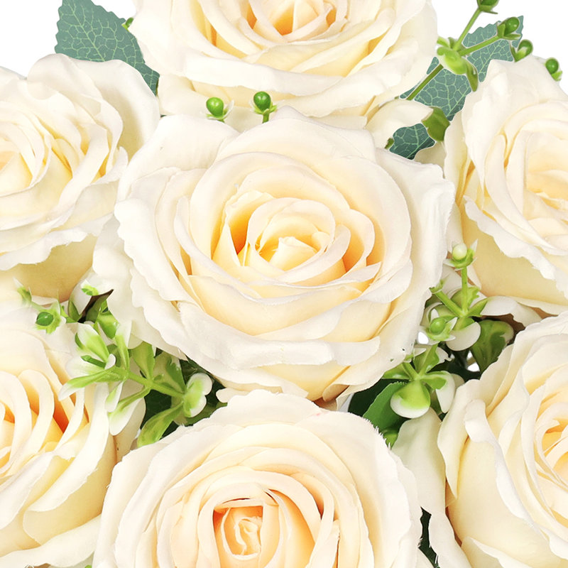 Roses, buissons, Ivoire