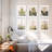 White Picture Frame - Set of 6 with Mat
