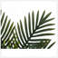 Plante artificielle, palmier, intérieur, faux, faux, table, verdure, pot, véritable touche, décoratif, feuilles vertes, pot noir-59994958