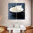 Yarlin Milk Bowl Splash-109118959