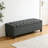 Storage Bench-420600028