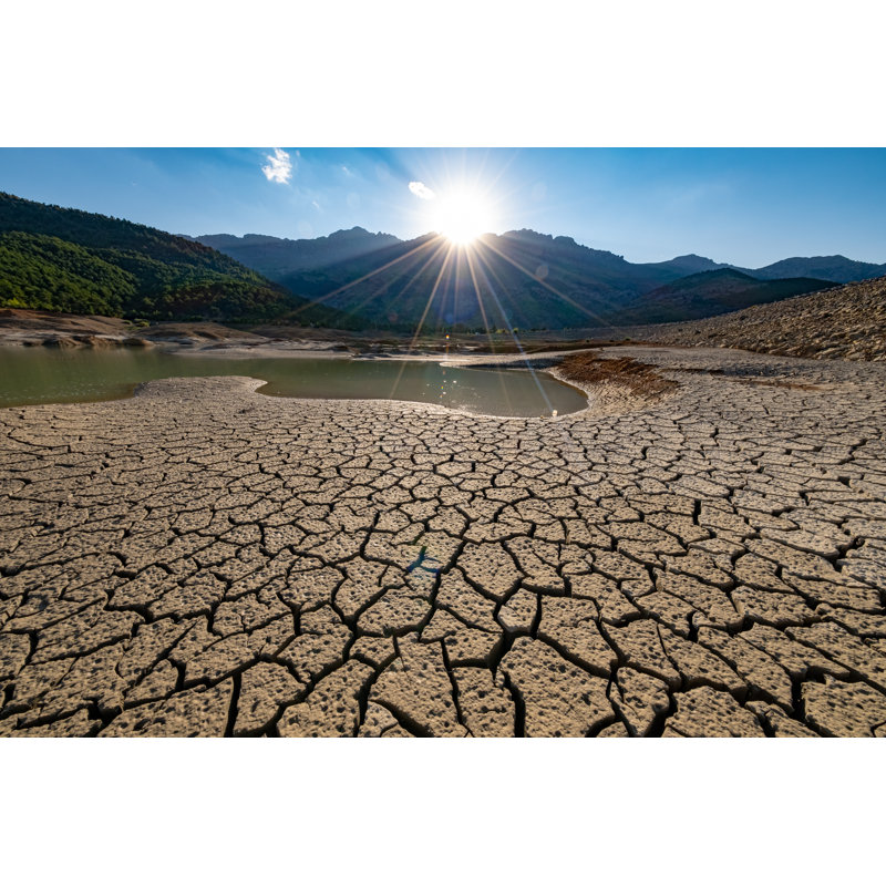 Environmental Awareness by Tigercat_Lpg - Wrapped Canvas Print, 30cm H x 46cm W x 3.8cm D