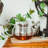 Grosche Glass Teapot