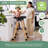 Kitchen Helper FLEX-122549820