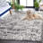 Joannette Performance Chevron Indoor/Outdoor Area Rug-1164176916
