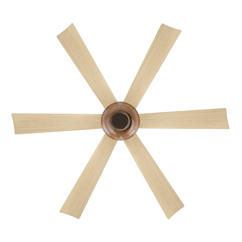 Ventilateur de plafond intelligent DEL 5CCT Veyra, Chêne blanc, Bronze