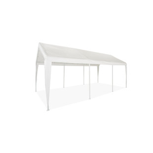 10' W x 20' D Canopy