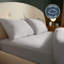 Silentnight Brushed Cotton Fitted Sheet-108368287-108575103