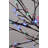 Cherry Blossom Tree Clear and RGB LED Lighted Tree
