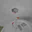Photos des clients 1 de 3