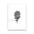 Unframed is unavailable