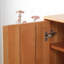 Armoire de rangement pour chaussures simple et spacieuse