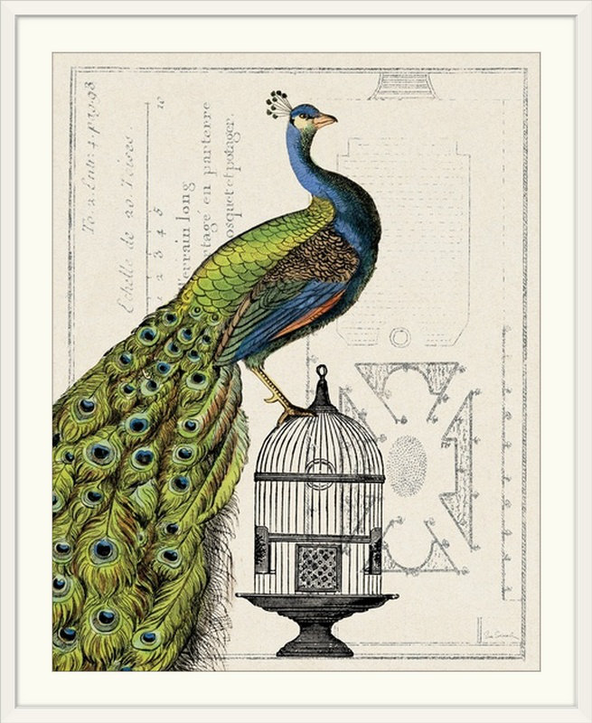 « i » par sue schlabach, impression Peacock Birdcage, H 32 po x l 27 po x P 1 po, Cadre blanc