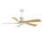 52" 5-Blade Modern LED Ceiling Fan with Light Kit and Remote Control-843147402