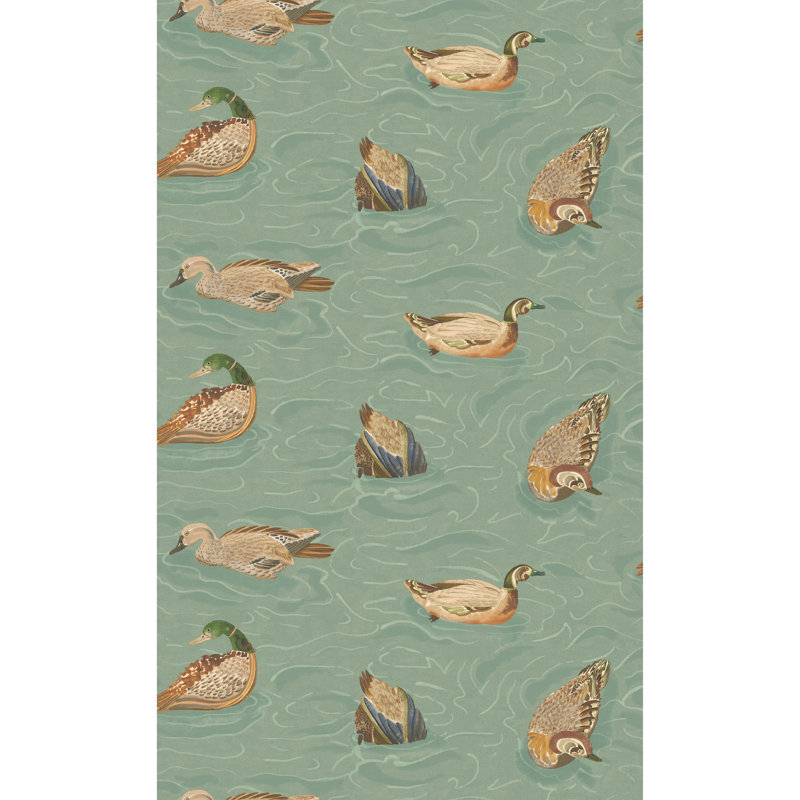 Duck Pond, Teal