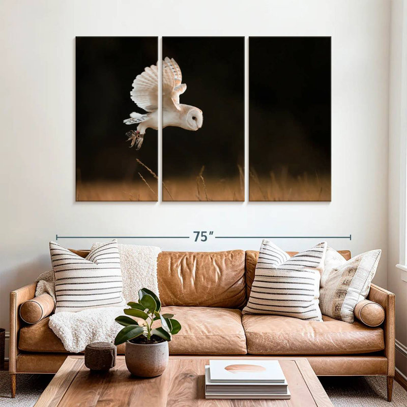 Brampt Barn Owl Beauty, 42" H x 65" W