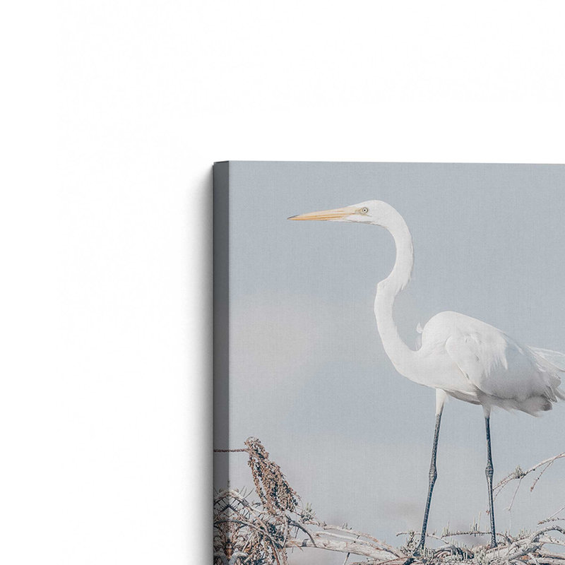 «Everglades pair» par Nathan Larson, reproduction d'art sur toile, H 18 po x l 12 po, Toile tendue, Ne s’applique pas