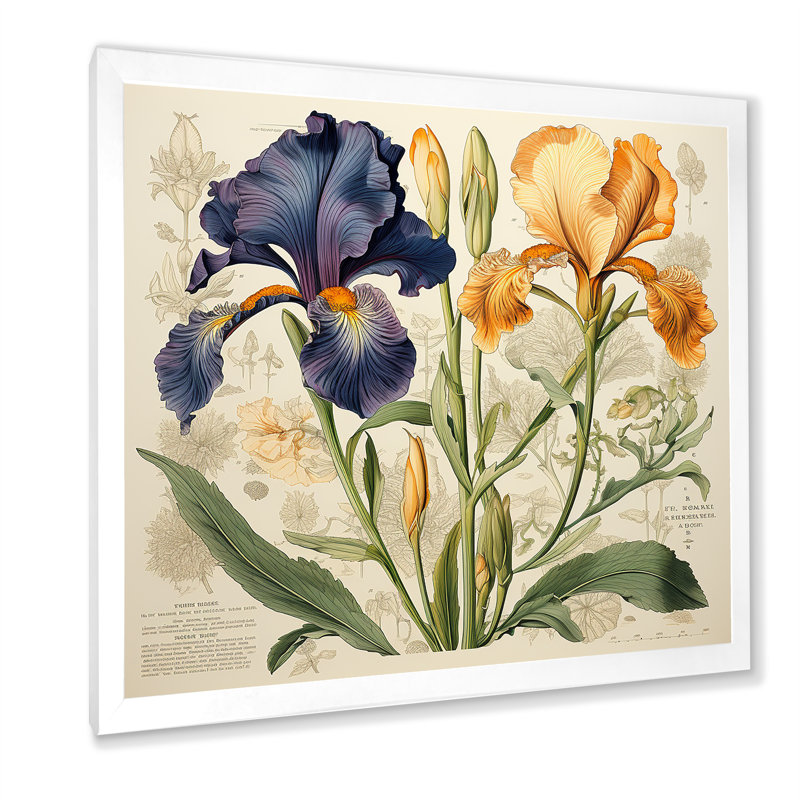Iris bleu et doré, illustration rétro sur toile, H 24 po x l 24 po x P 1 po, Cadre simple blanc