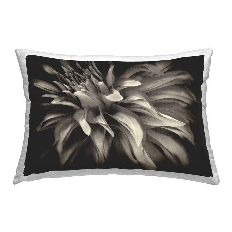 Coussin décoratif à motif de chrysanthème foncé foncé par Dennis Frates