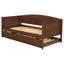 Lit de jour simple avec couchette Fallbrook